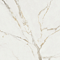 Ravena Pulido Rect. 80x80 Benadresa