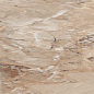 NEBULA GOLD 60x120 Casati Ceramica