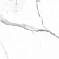 NR235 Dalim White Матовый 60x120 PrimaVera
