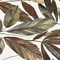 Neve Satin Giardino Rect. 60x120 Baldocer
