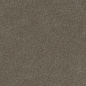 600010002437 Forte dei Marmi Rock Alpine Brown Lastra 20mm 60x120 Atlas Concorde Russia