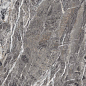 Gem Forest Stone Shapetouch Pro 60х120 Realistik