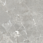 NR0388 Garcia серый матовый 60x60 ProGRES Ceramica