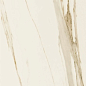 T622545 FORTE MATT RET 270x90 Saime