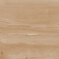 Paint Wood Bone Gloss 60x120 Realistik