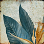 TR3333 Tropic 33х33 Serapool фото в миниатюре 2