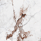 764084 Policroma Breccia Glossy 6mm 60x120 Cedit