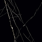 Nero Marquina HG 60x60 Casati Ceramica