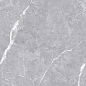 Luanda Polished Silver Carving 60x120 Realistik фото в миниатюре 6