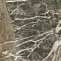 610010003170 F.d.M.Quark Breccia di Caravaggio Matt 60x120 Atlas Concorde Russia фото в миниатюре