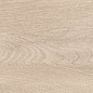 V5250023 Tanzania Nut 25x150 Venis