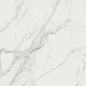 760035 Exalt Magic White Nat Ret 60x120 Cerim
