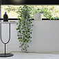 Blanco Brillo 10x10 Cifre