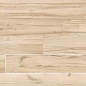 51200 Just Venice BEIGE CH. 16x100 Gardenia Orchidea (Versace)