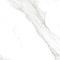 Satvario Calacata Polished 60x60 Concor