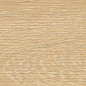 ENWD6032SR845 Oakland Honey Matt Relief 80x450x8 Ennface