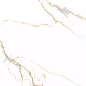 PR126 Bellevue Gold Polished 600х600х9 PrimaVera