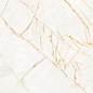 PF60017518 Supreme Hedonism Golden Spider Nat R 60x120 Flaviker