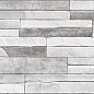 TWU2550DCV17 Discover рельефная 249x500x8 Alma Ceramica (Уралкерамика)