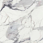 769859 Les Origines De Rex Argent Glossy 60x120 Rex Ceramiche