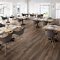 Barkwood White 20x120 Sant Agostino