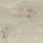Canus Oak Carving 20x120 Gravita