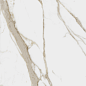 610010000779 Charme Evo Calacatta 60x60 Italon