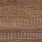 Eccelente brown PG-01 12.5x50 Gracia Ceramica