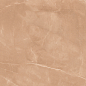 Armani Camel Satin 60x60 Colortile