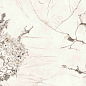 BHK-4001 Rossana Star Dry granular polished 120x300 Basconi Home