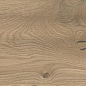 AX52 Log Moon Oak Forest Matte 20x180 Atlas Concorde
