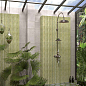 Bamboo Green 30x15 Mainzu
