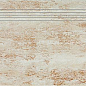 DCPSE035 Travertin 30x60 RAKO