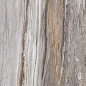 F918G10111 Tropical Glossy 90x180 FMAX