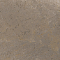 TREX 120TO LP Dove Gray 120x120 La Faenza