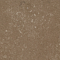 Buxy Noisette 100x100 Kerlite
