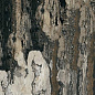 Bali In&Out 60x120 New Tiles
