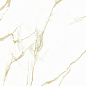 P17604 Helyon Polished 60x120 Pardis Ceramic Pazh