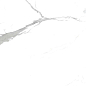 CA016060N Calacatta Grey 60x60 Pieza Ceramica фото в миниатюре 4