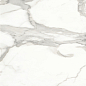 Invictus Natural 80x80 Baldocer