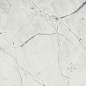 188639 Light Calacatta 60x120 Dune