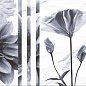 TP3601SWFY Декор Галатея Цветы ректификат 30x60 PrimaVera
