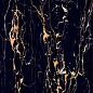 Portoro Gold High gloss 60*120 Art Ceramic