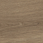 41729 Bloom Cognac SP/24x151x0,9/R 24x151 Peronda