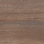 Amazon Wood Brown Matt 60х120 Staro