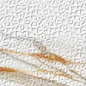 224269 Bellagio White Matt 39.6x119.2 Colorker