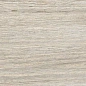 AB 1169W Forest Essenze Grey 1200x200 Absolut Gres