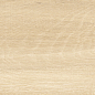 GP1560LOK01 Loksland Crema матовый 151x602 New Trend