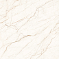 CL6001-A Ceasar Carving Lappato 60x60 Arcadia Ceramica фото в миниатюре 3