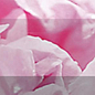 Бордюр рельефный Peony br1020D281-2 20х10 Laparet